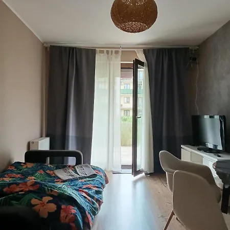 Maestro Z Tarasem I Garazem * ヴロツワフ