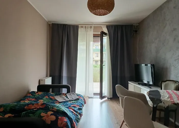 Maestro Z Tarasem I Garazem * ורוצלב