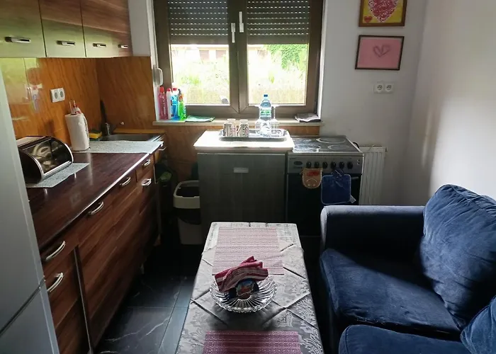 Maestro Z Tarasem I Garazem דירה ורוצלב